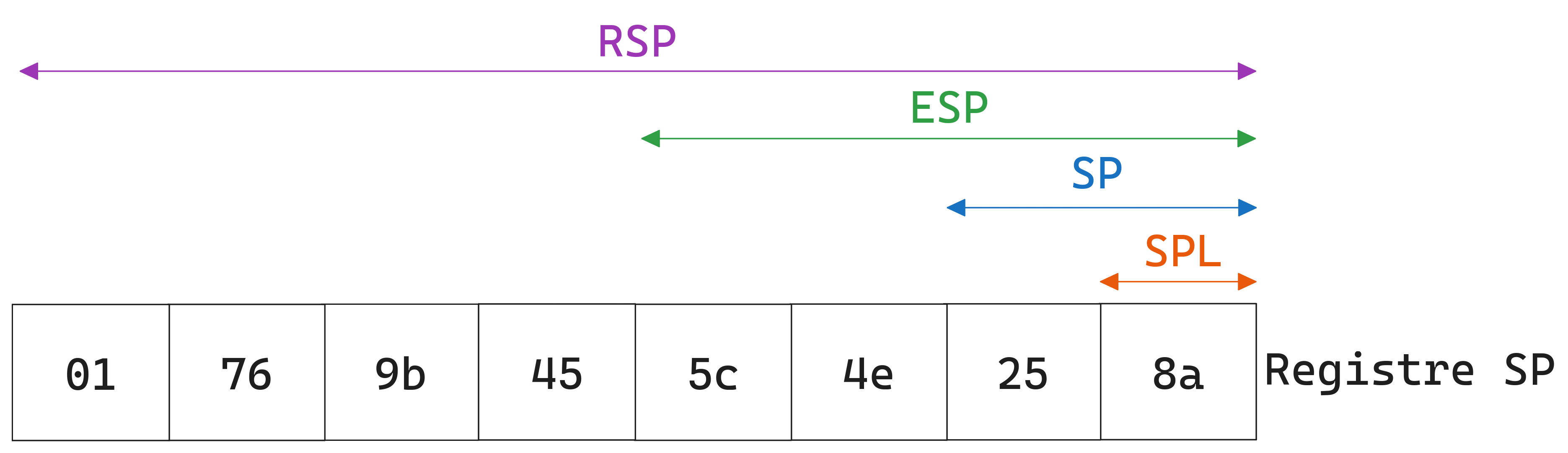 Schéma montrant les différentes manières de lire le registre **RSP**.